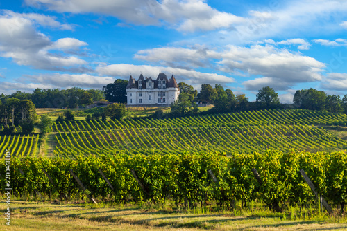 Chateau Monbazillac ( Monbazillac castle) with vineyards, Aquitaine, France