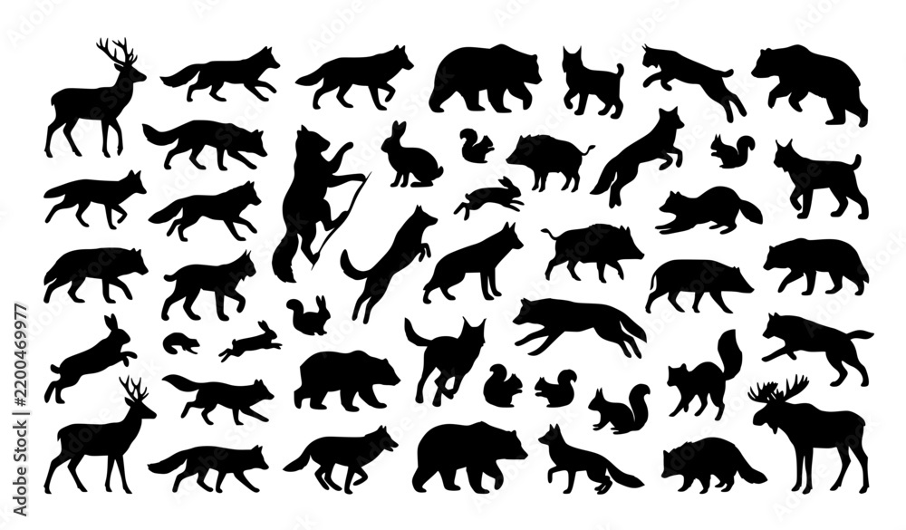 Obraz premium Dynamic Woodland Wildlife Forest Animal Silhouette Black Vector Set