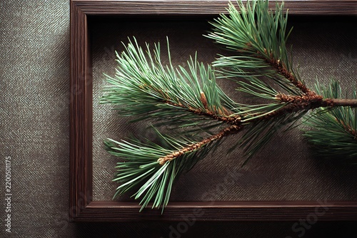 pine branch in wooden frame
