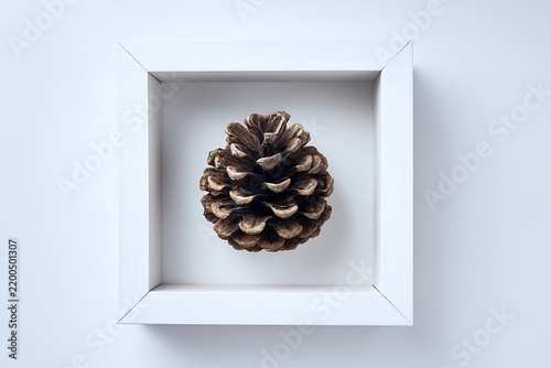 pine cone in frame