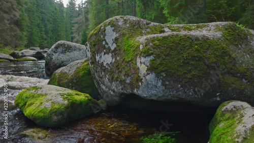 Sideways panning shot along a clear mountain river flowing through dense green forest, revealing moss-covered rocks, rushing water and immersive natural ambience in pristine wilderness.