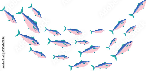 School of Mackerel Fish Illustration Showing Swimming Marine Fish for Ocean Wildlife, Seafood, Fishing, Aquatic Nature, and Underwater Design. Vector Isolated.
