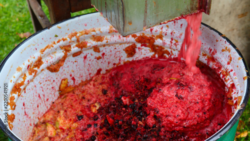 Принти на полотні Crushed chokeberry and apple mash pours from a fruit press into an enamel bowl,