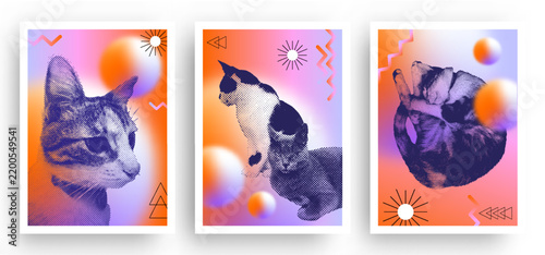 Set of cats with a halftone effect in retro style background featuring a diffused, grainy gradient texture. Adorable pet posters with a vintage dotted photocopy effect. Vector illustration.