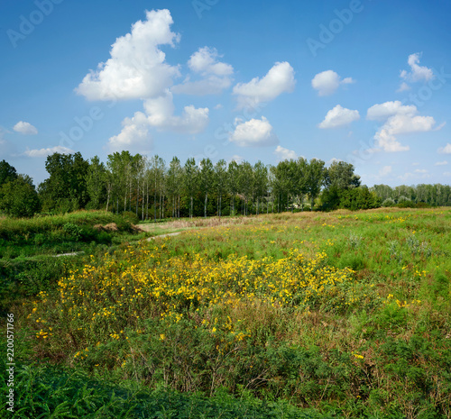 Plakat golena