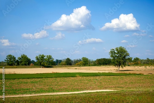 Plakat golena