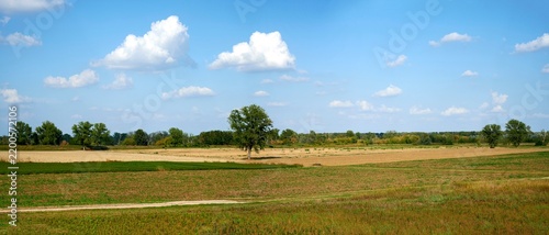 Plakat golena