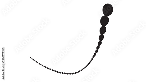 Curved line of black circles of varying sizes resembling a spine on white background