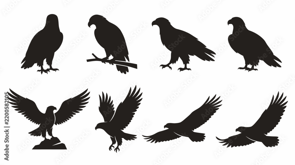 Fototapeta premium Eagle Silhouette Collection – 8 Different Poses