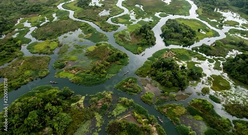 Winding river channels through lush green vegetation a scenic aerial view