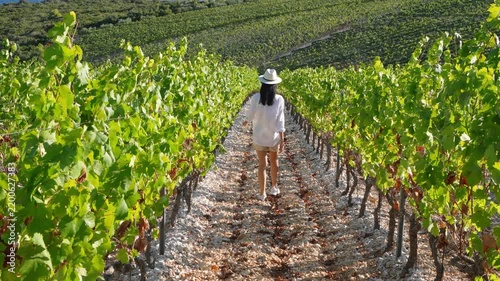 Rear view of a woman walking among vineyard rows 