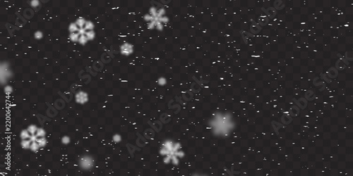 Vector flying snow. Flying snowflakes on an isolated transparent background. Winter or Christmas background. Snow or snowflakes. Vector illustration.