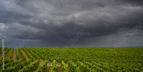FRANCE, GIRONDE 33 ENTRE-DEUX-MERS. THUNDERSTORM OVER THE VINEYARD NEAR THE VILLAGE OF LANGOIRAN