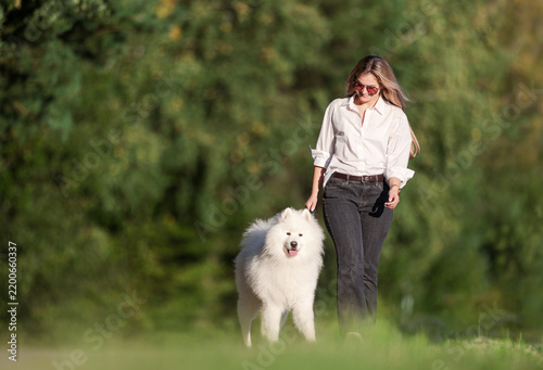 Woman Walking White Samoyed Dog Outdoors in Sunny Park, Casual Style and Happy Companionship