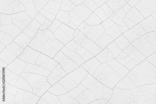 White cracked paint texture with fine craquelure lines background