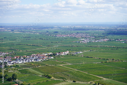 Foto Elevated View of the Rhine Plain and Vineyards from Hambach Castle