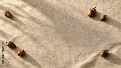Natural Linen with Acorns and Long Shadows | Autumn Background