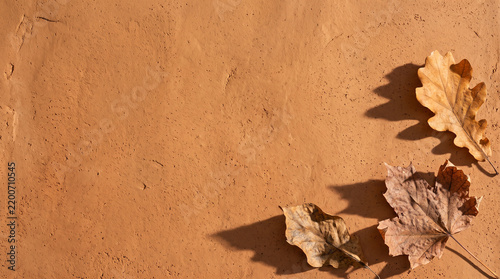 Warm Clay Surface with Dried Leaves | Autumn Background