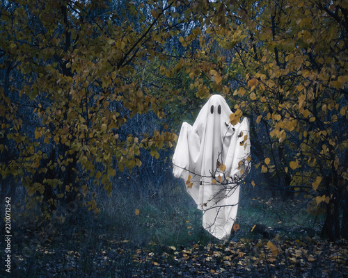 Fotografie Spooky ghost figure standing in the autumn woods