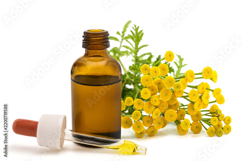 Tansy flowers with dropper bottle isolated on white background