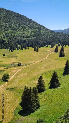 La ferme d'Herbouilly, ancien poste de commandement du Capitaine Goderville, au milieu de la clairière de la forêt du plateau d'Herbouilly l'été (massif du Vercors)