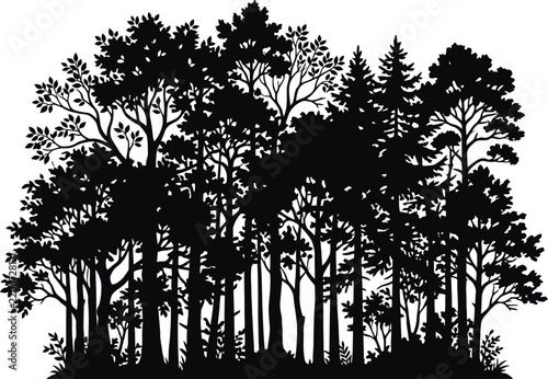 Detailed black silhouette of a dense deciduous and coniferous forest with tall trees and thick foliage