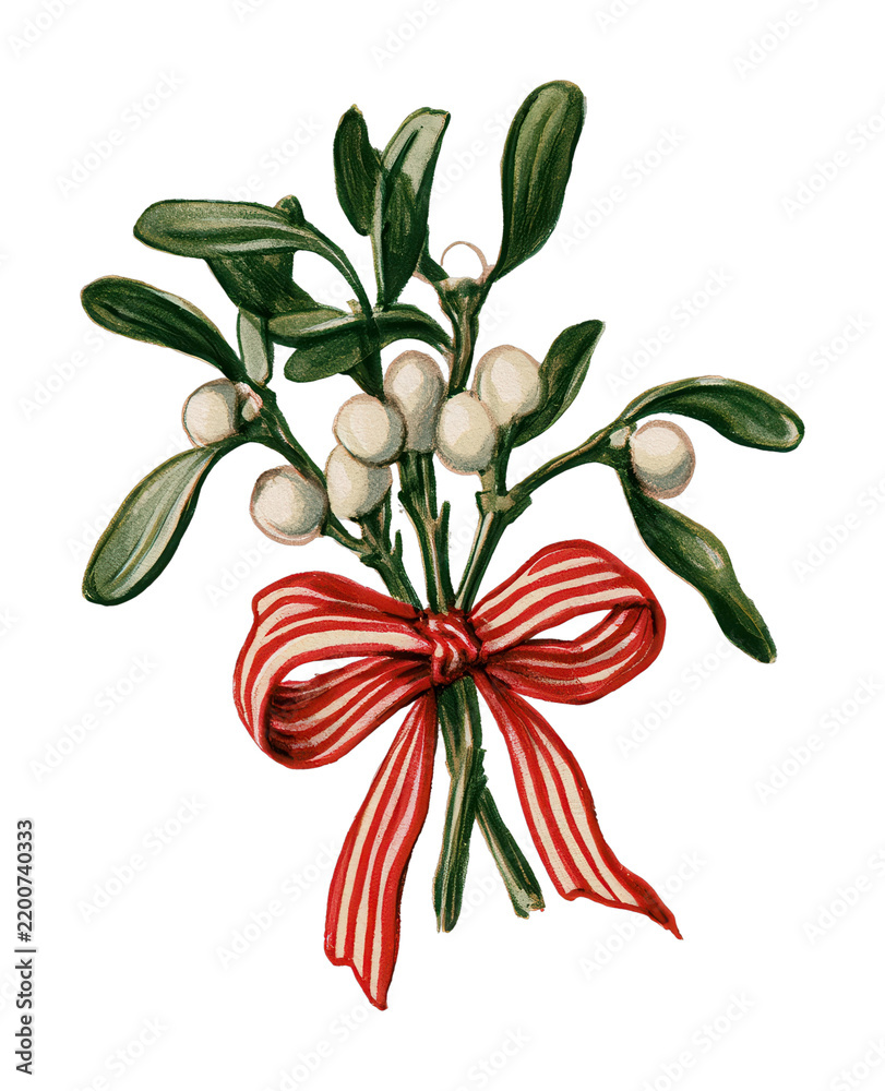 Obraz premium PNG Festive mistletoe sprig with red striped ribbon on textured paper