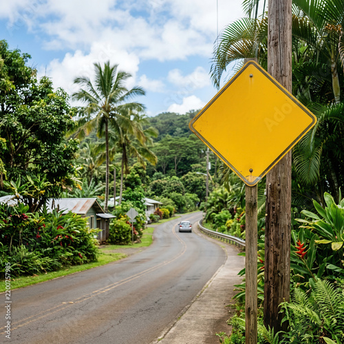Tropical Roadside Warning Sign Surrounded By Lush Greenery And Palm Trees