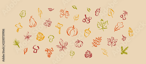 Set of autumn seasonal plan, leaves, pumpkin, acorn boho hand drawn cute doodle icons. Autumn child, kid, school, kindergarten chalk naive scribble design elements. Fall childish whimsical background