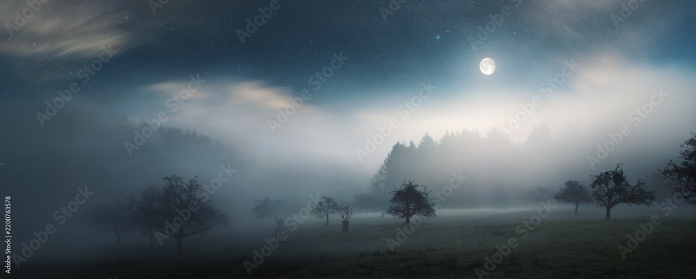 Fototapeta premium Rural landscape in the night, with moonshine illuminating the mist over a meadow, tree silhouettes and the moon in the dark blue sky