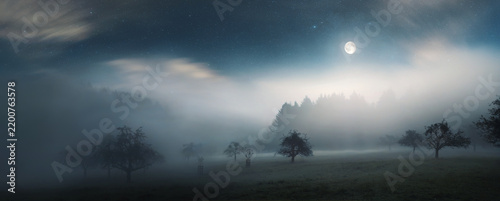 Rural landscape in the night, with moonshine illuminating the mist over a meadow, tree silhouettes and the moon in the dark blue sky