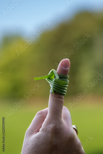 Foto An indexfinger with a winding of plantago lanceolata to stop little bleedings