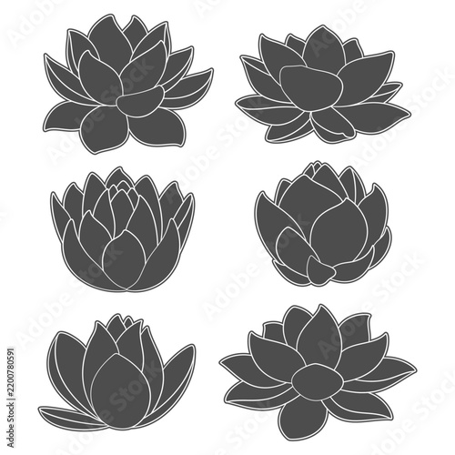 Set of black and white illustrations with lotus, water lily. Isolated vector objects on white.