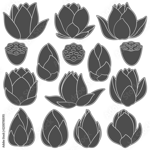 Set of black and white illustrations with lotus, water lily. Isolated vector objects on white.