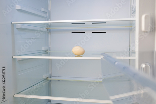 Single raw egg in empty refrigerator