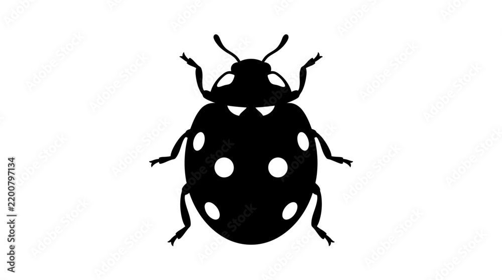 Fototapeta premium Black ladybug silhouette against a white background showcases insect form