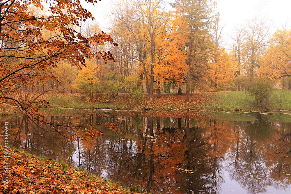 Obraz premium Lake surrounded by red and yellow foliage, with ducks and their reflections visible in the water on a cold, misty day. An autumn park in Russia in October picturesque landscape and autumn themed scene