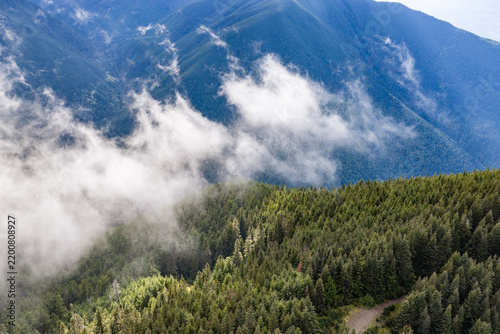 Misty Mountain Forest With Low Clouds Over Lush Evergreen Trees Near Chilliwack, BC, Canada