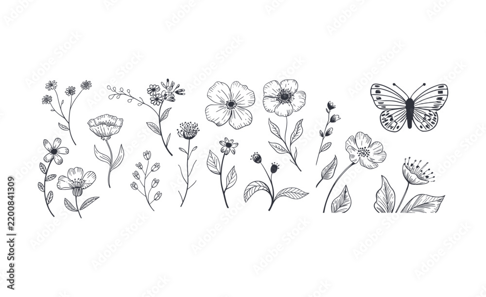 Obraz premium Botanical line art vector illustration set with wild flowers and butterfly