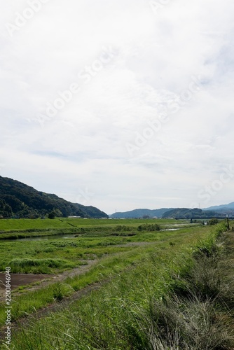 Plakat 高知県四万十市の後川。緑豊かな四万十川の支流。