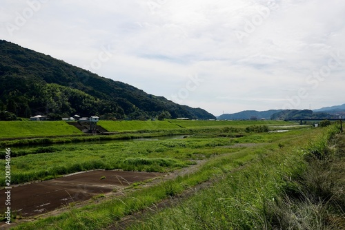 Plakat 高知県四万十市の後川。緑豊かな四万十川の支流。