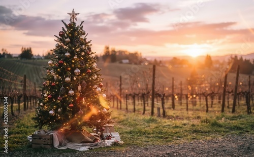 Decorated Christmas tree standing outdoors in a vineyard during a scenic sunset, holiday greeting card concept