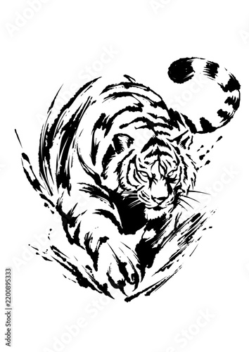 [Vector] Fierce Staring Tiger Illustration in Sumi-e Ink Painting for T-shirt Design