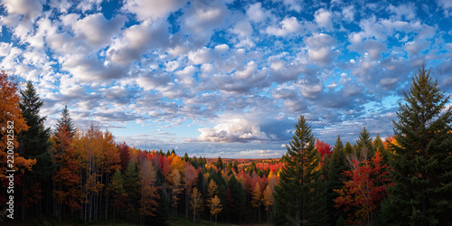 Colorful Autumn Forest Beneath an Expansive Cloud Filled Sky
