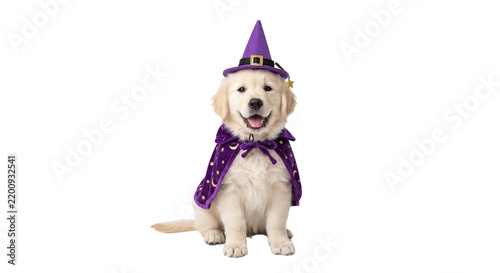 Golden retriever puppy wearing purple wizard hat and cape