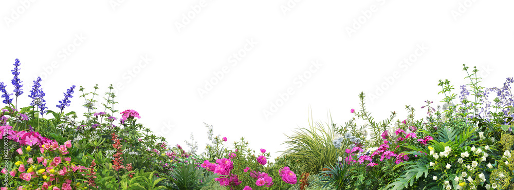 Obraz premium foreground flower gardens and meadows on a transparent background.