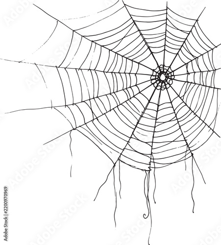 A hand drawn black ink illustration of a spider web with thin threads and a circular pattern design representing a creepy halloween decoration or nature element
