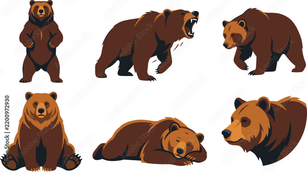 Obraz premium Grizzly brown bear mascot vector set featuring roaring standing walking sleeping sitting positions and fierce head portrait illustrations