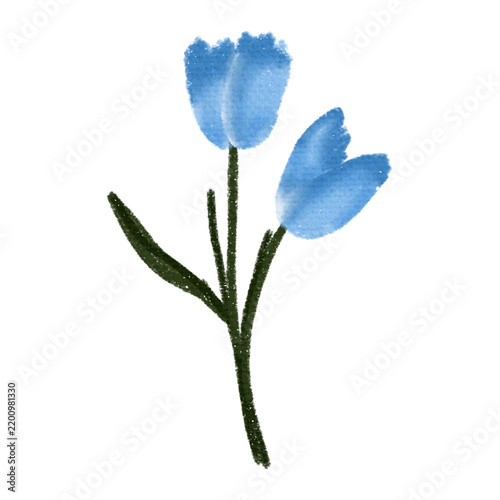 blue iris flower isolated on white background, crayon style of blue flowers