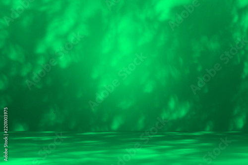 Wall interior background, studio and backdrops show products. with leaf shadow leaf from window color green and white. background for text insertion and presentation of product	

